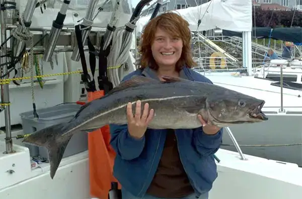 Teazer Fishing Charters