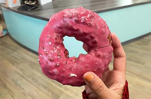 The Holy Donut in Portland, Maine