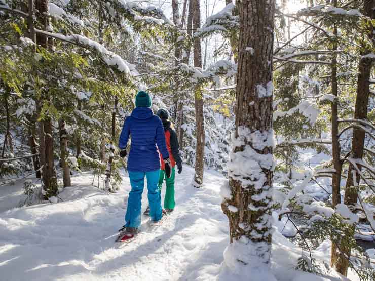 Snowshoeing in Camden Hills State Park